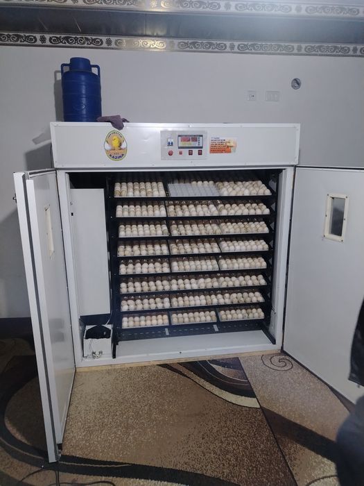 Инкубаторлар сотилади 3200 тали