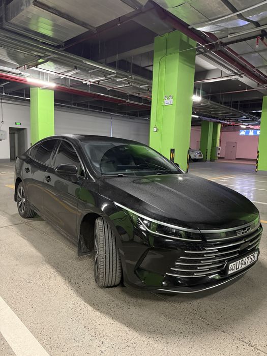 Byd chazor 2024 full