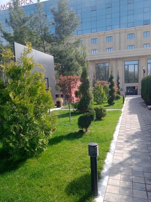 Landshaftni dizayner gazon xizmati