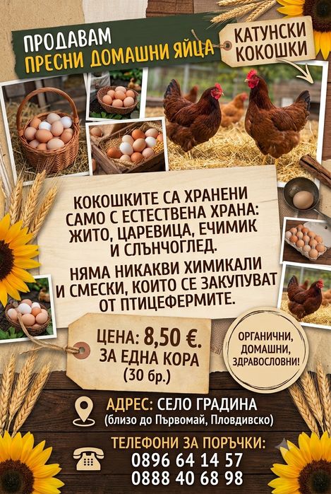 Пресни домашни яйца от Катунски  кокошки