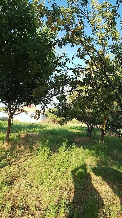 Срочно!Участка сотилади,2кадастрли Сирдареда.Продается земля с 2мя к