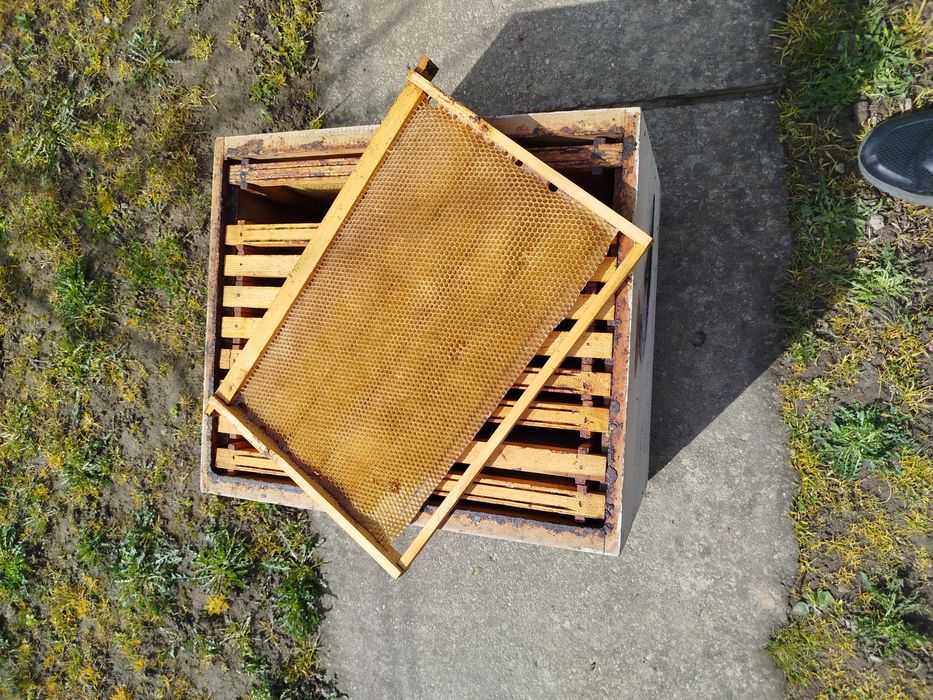 Rame stupi 1/1 clădite