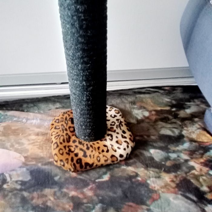 Когтеточка от пола до потолка