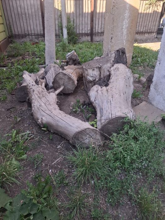 Дрова (чурки сухие) бесплатно!