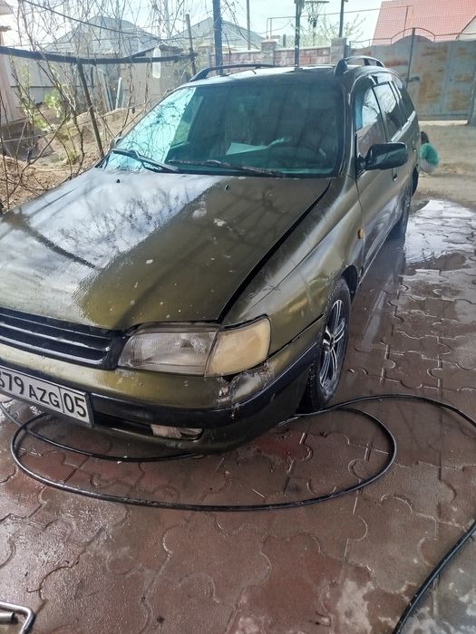 Таета карина е уневерсал