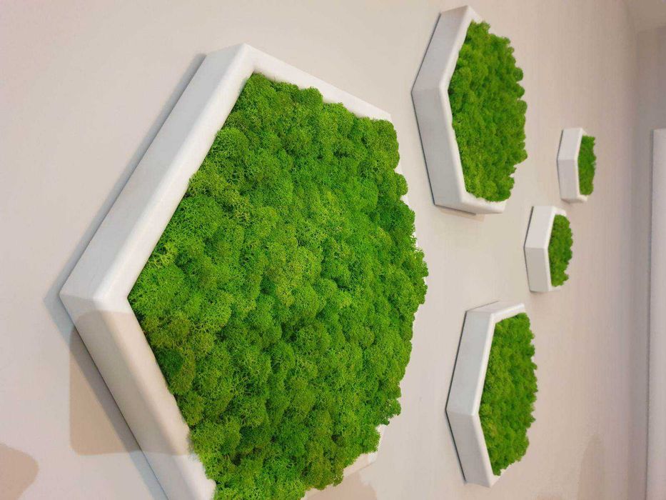 Уникални картини от естествен мъх! Декорация,арт,модерно,свежо,подарък