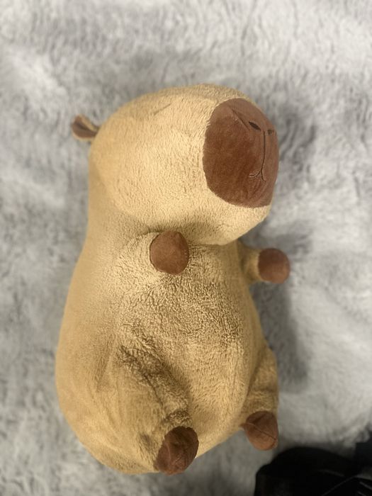 Plus Capibara cu paturica