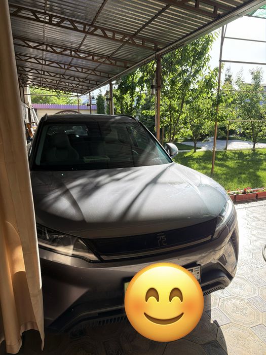 Other Yuan Up 2024 — 3