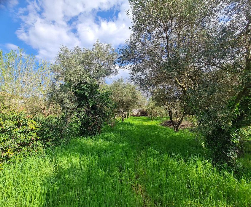 Продава парцел 780 м2 в Аспровалта, Гърция