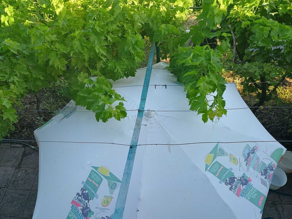 Чисто Ново Платнище за Кръгъл Чадър с диам 1.80 /Стойка за Голям Чадър