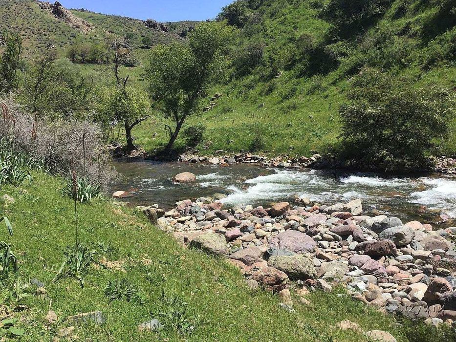 Срочно! Дача в горах Паркента с участком 15 соток!