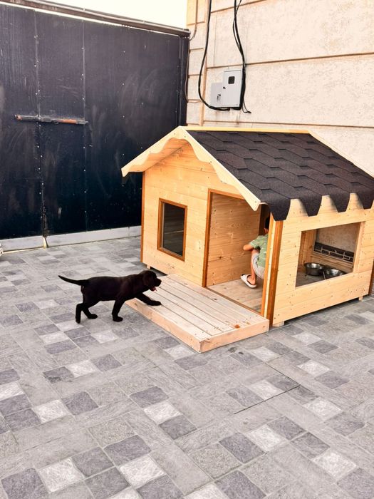 Будки для собак, домики для собак