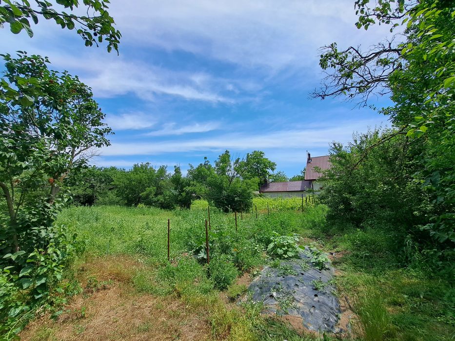 Teren intravilan 2300