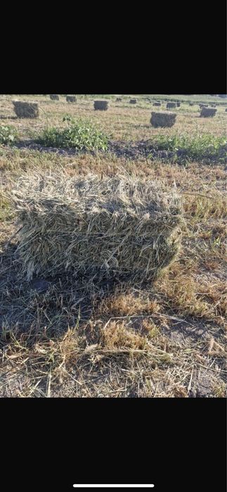 Шоп сатылады продается сено