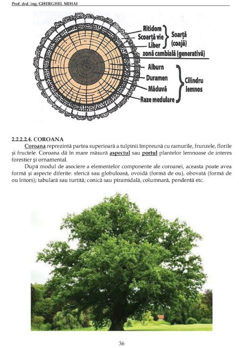 Cartea Pădurarului ediția 2016