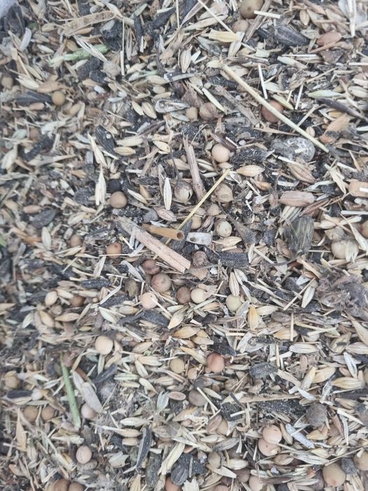 Продам зерноотходы