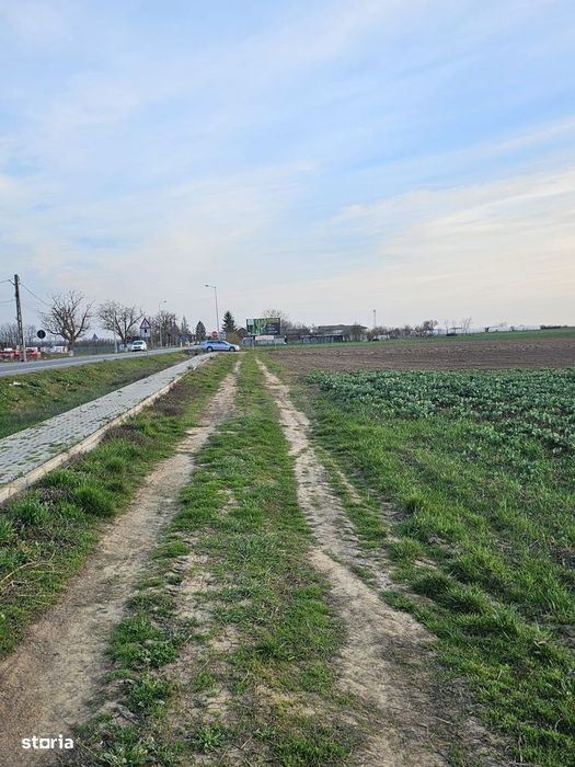 Teren 21600 mp in apropiere de Autostrada Transulvania