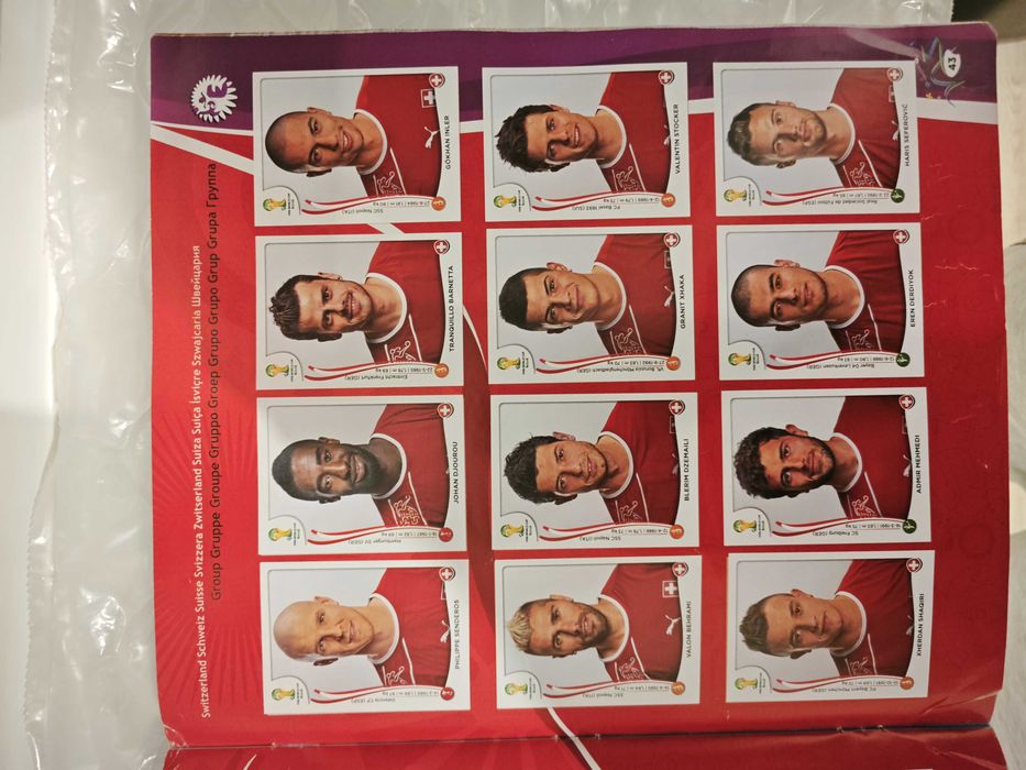 Album 2014 Panini