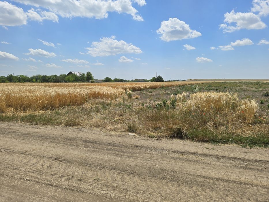 URGENT!! Teren 2.120 mp2 / 23,60 € mp2. PREȚ 50.000€