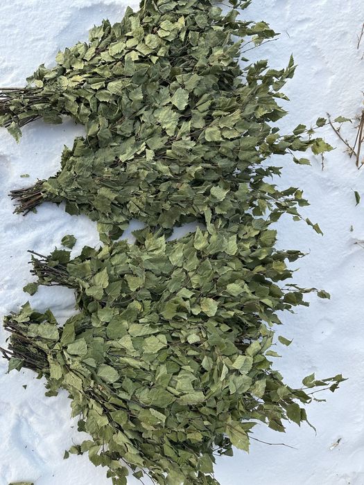 Березовый веники