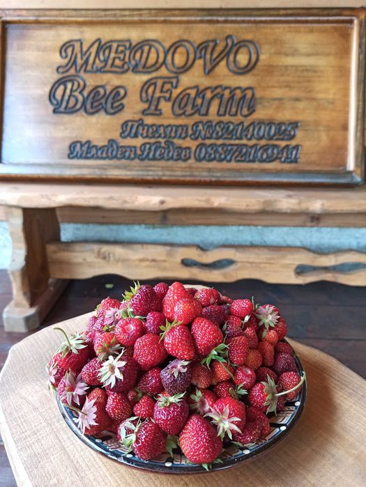 Пчелен Мед от Медово