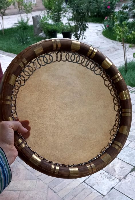 Yangi Doira akatsiya 36