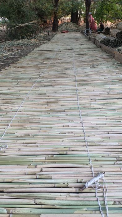 Декорлық ши бар.