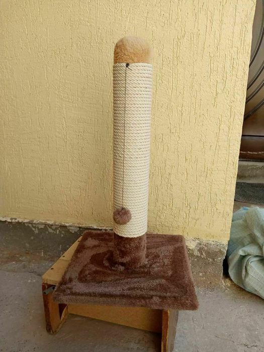 Когтеточки есть доставка.