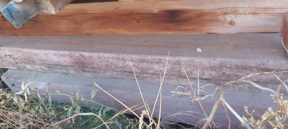 Брусы от 4х до 7м 20см*20см