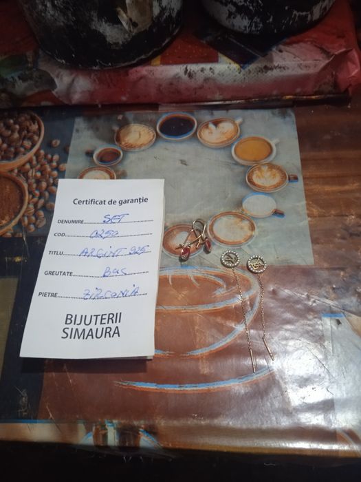 Vând cercei argint cu certificat de garanție