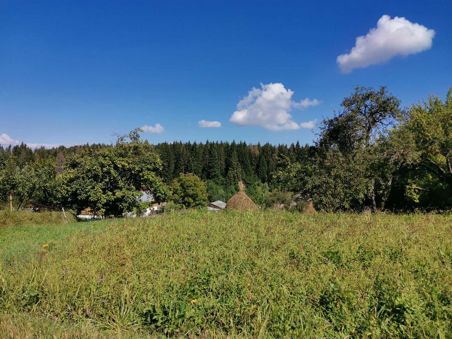 Vand teren intravilan cu casă – 7400 mp în Sasca Mare, Suceava