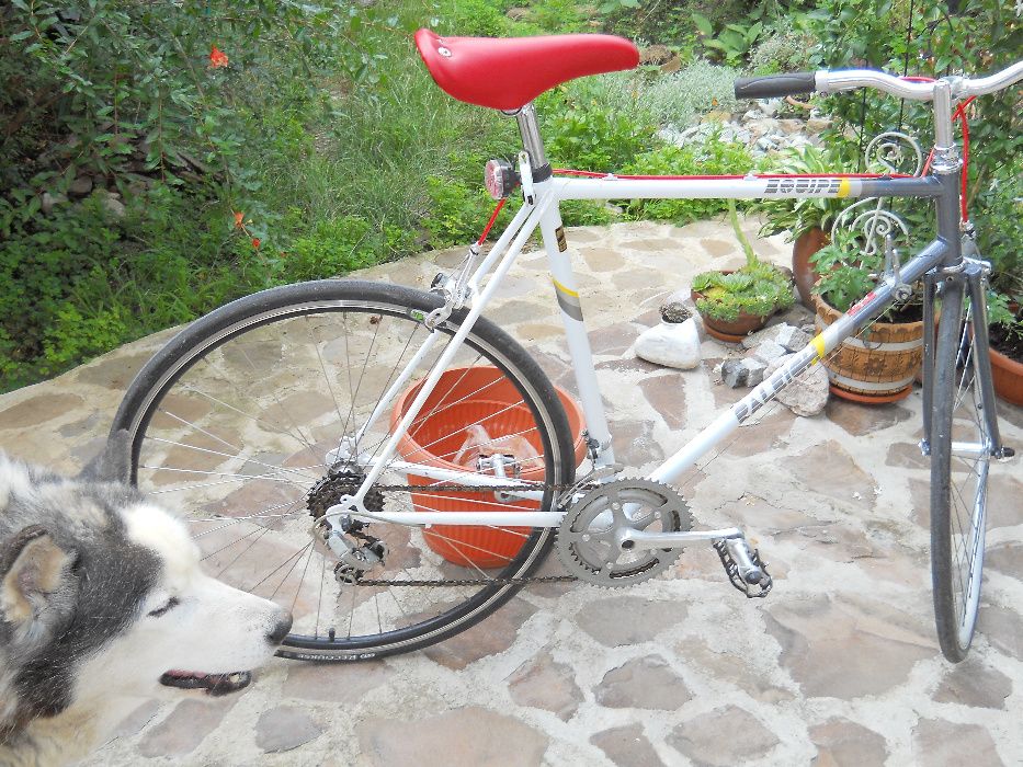 Bicicleta Cursiera Raleigh UK