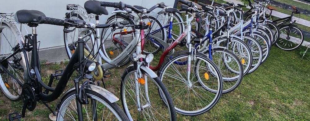 Bicicleta/Biciclete Dama