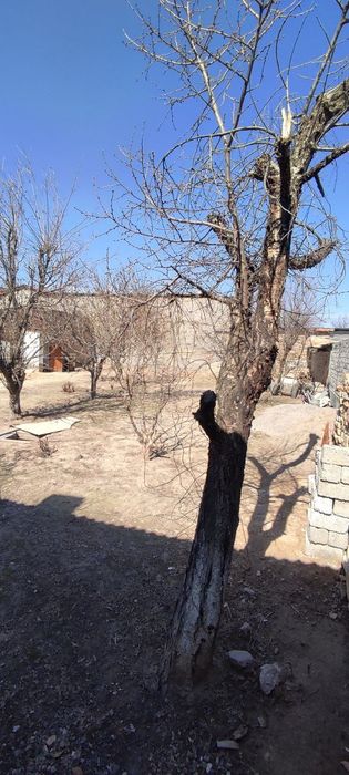 Кибрай тумани Ок-ковок м.ф.й да 4хона 6сотик хонадон сотилади