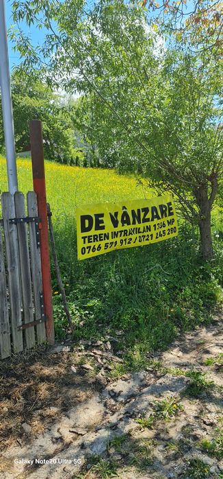 Vând doua terenuri alăturate în Comarnic.