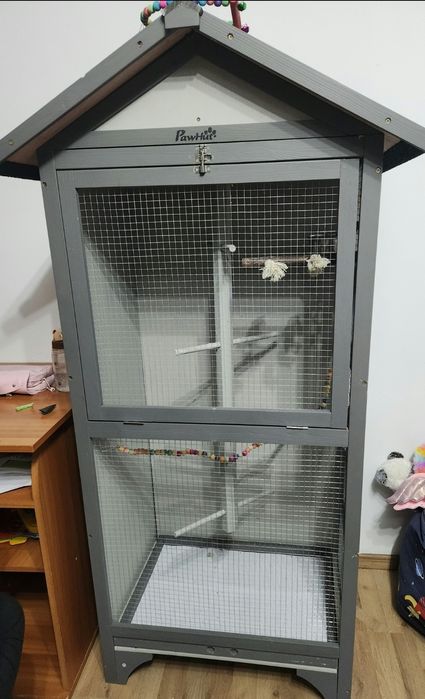 Papagal Micul Alexandru + colivie