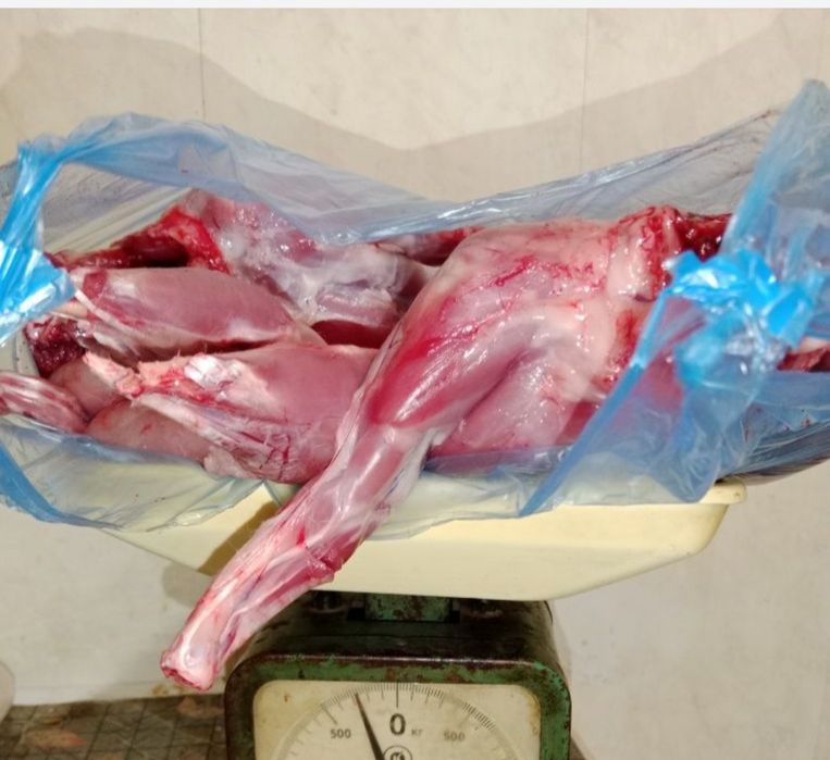 Имеются в продаже тушки кроликов