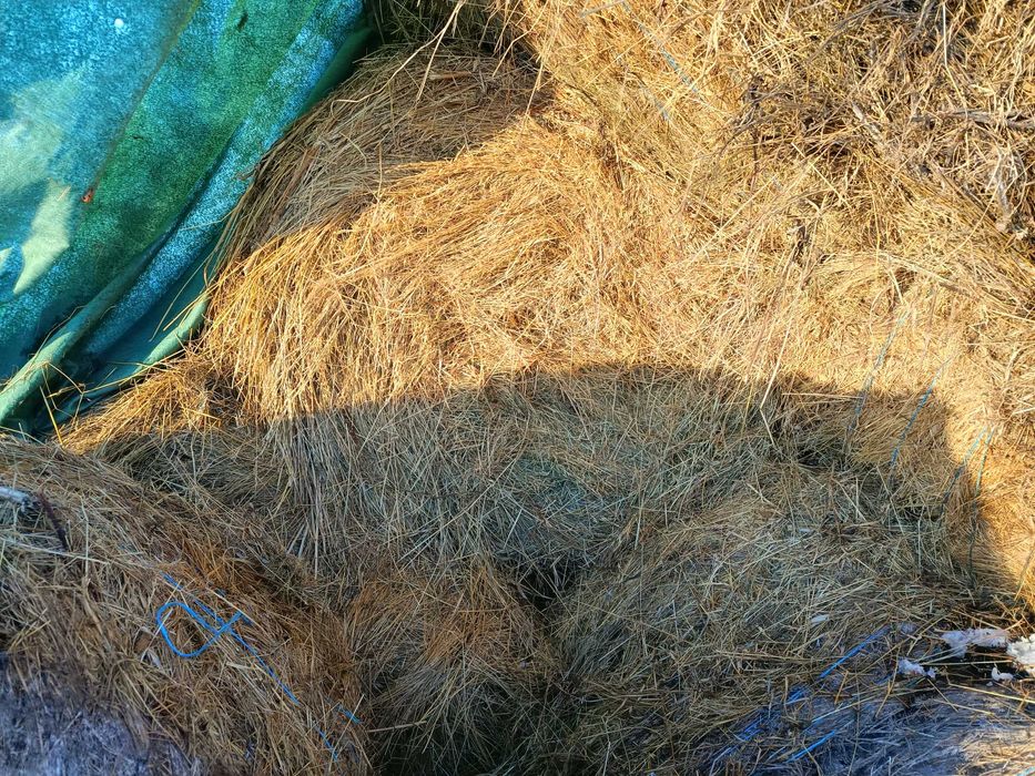 Vand baloti fan paie