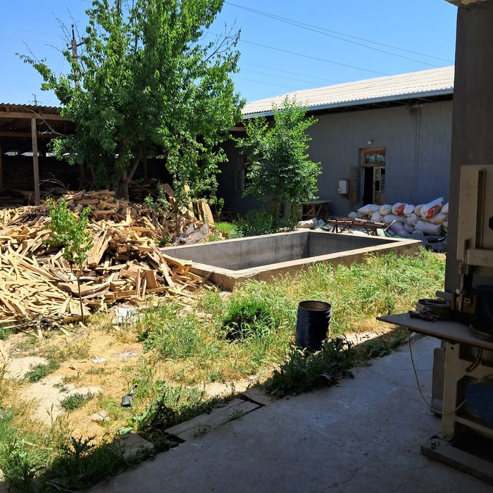 Тош. обл Зангиота туманида 12 сотихли  участка сотилади