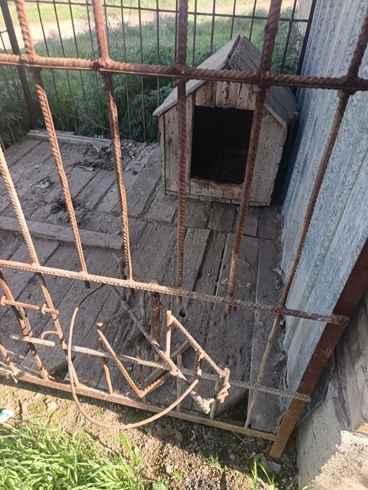 Ассалаумағалайкум