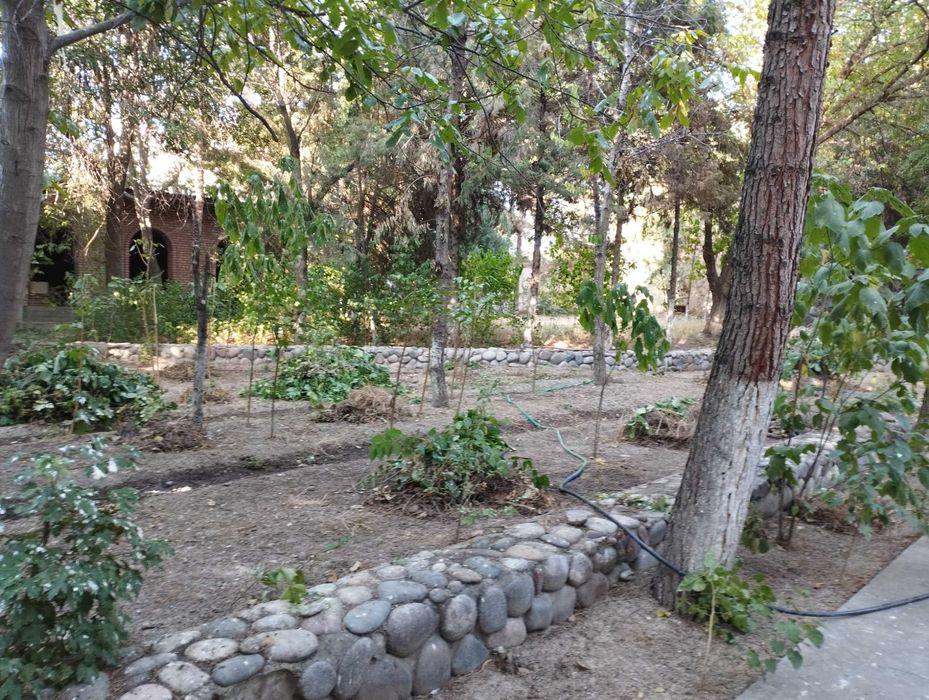 Предлагаем на продажу дачный участок более 50 соток в Тузеле.