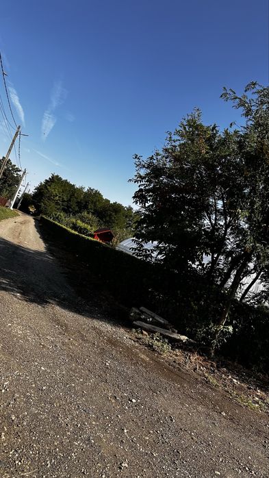 Se vinde loc de casa ( solar + livada pruni)