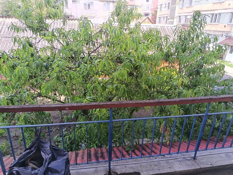 Vand apartament 2 camere etaj 1
