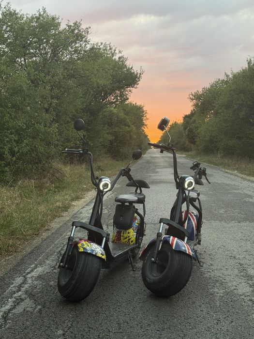 Харли 1500w 12ah