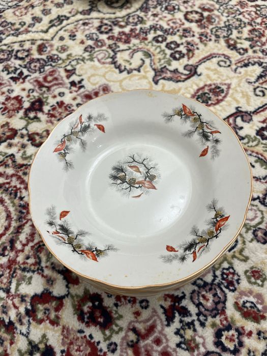 Тарелкалар барлығы 5000 тг