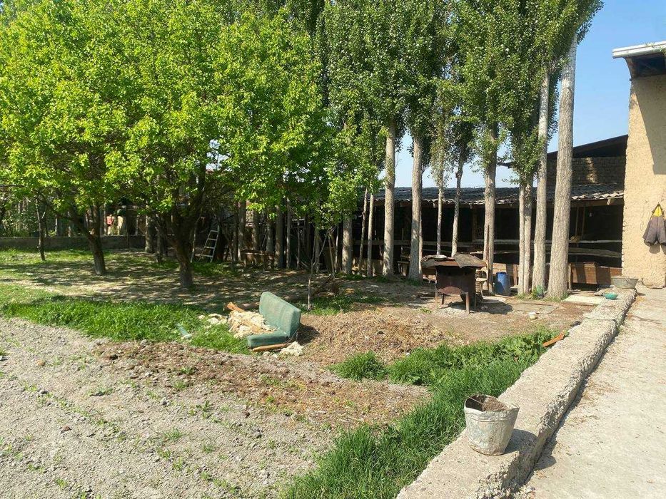 Hovli sotiladi, 12 sotix