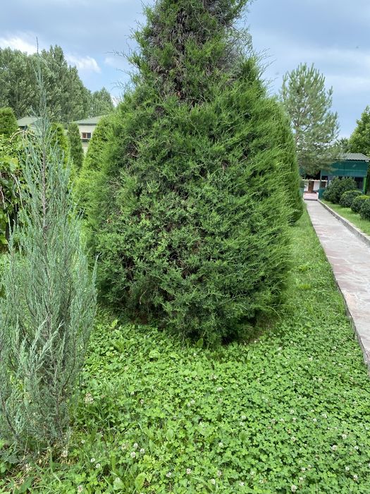 Сдам дом коттедж для отдыха