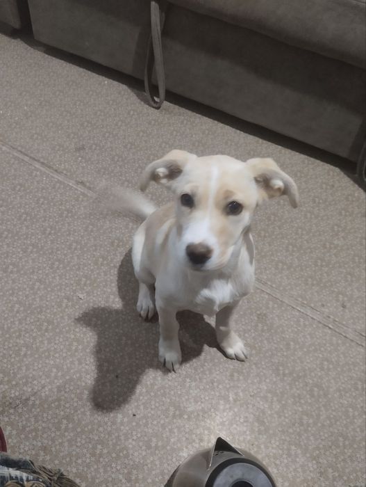 Подари малышке любовь