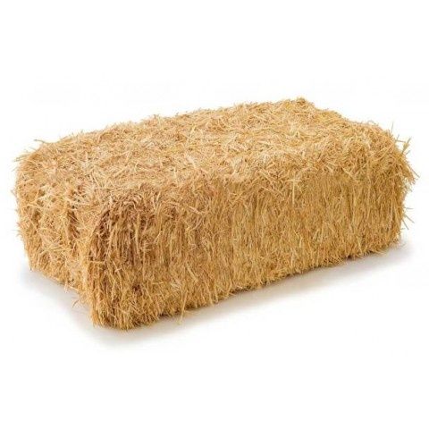 Солома пшеничная тюковая