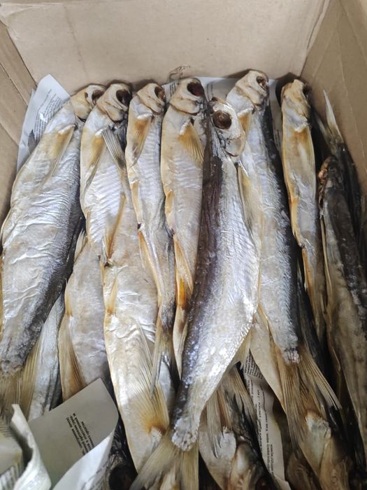 Вяленая рыба (атырау)